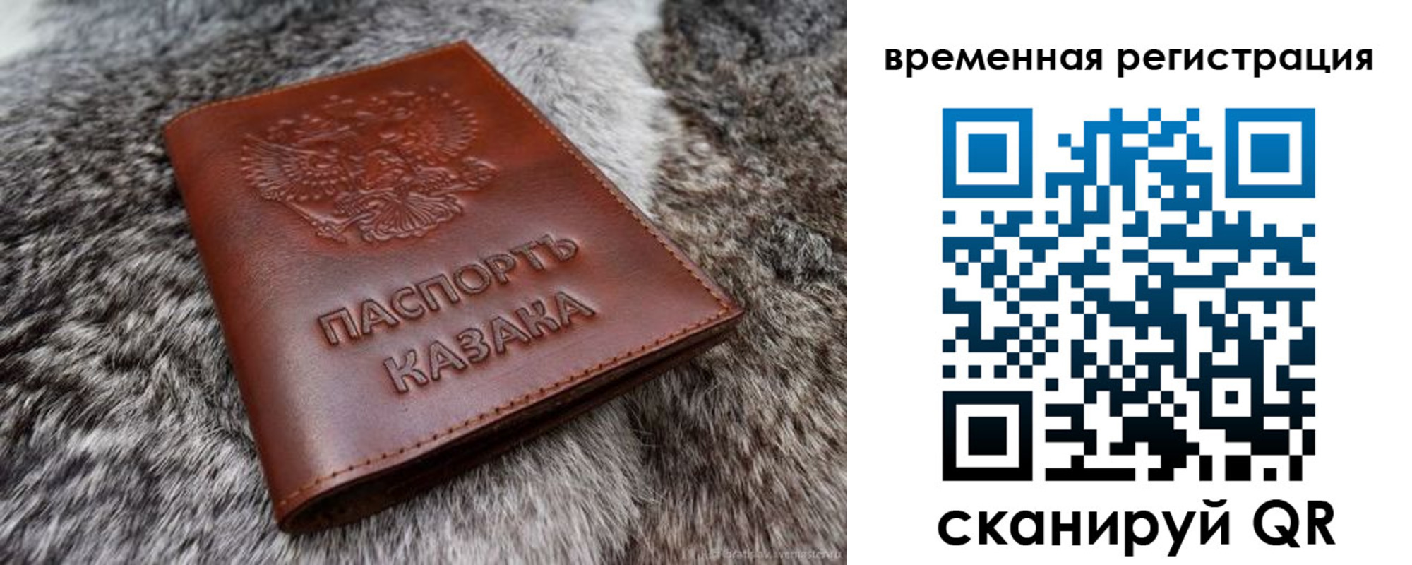 прописка 2025 в Людиново
